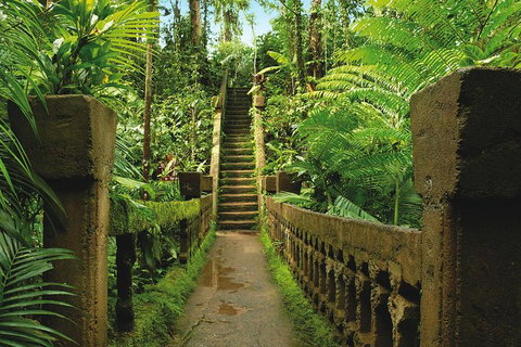 The Original Day Tour To Paronella Park, Lake Barrine And Millaa Millaa Falls - Darwin Holiday 9