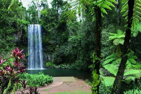 The Original Day Tour To Paronella Park, Lake Barrine And Millaa Millaa Falls - Darwin Holiday 2