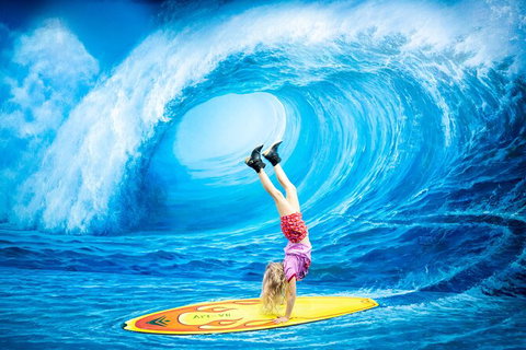 ArtVo Gold Coast - Queensland\'s First \'trick Art\' Gallery - Darwin Holiday 0