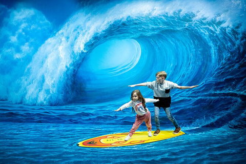 ArtVo Gold Coast - Queensland\'s First \'trick Art\' Gallery - Darwin Holiday 4