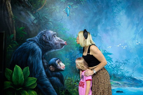 ArtVo Gold Coast - Queensland\'s First \'trick Art\' Gallery - Darwin Holiday 5