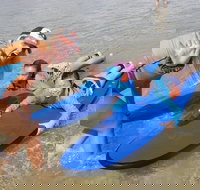 Kids Only Surf Lessons at Surfers Paradise Beach