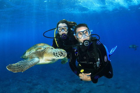 3- Day Advanced Open Water Diver Course On The Gold Coast - Darwin Holiday 1
