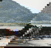 Sightseeing Tour - Full Day - Darwin Holiday