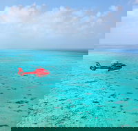 Port Douglas - Cruise and 10 Minute Scenic Flight - Darwin Holiday