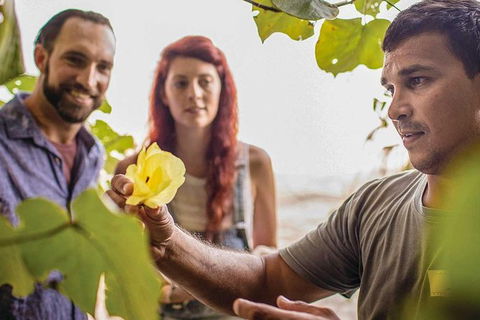 Cultural Tour - Full Day - Darwin Holiday 3