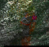 Cultural Tour - Full Day - Darwin Holiday