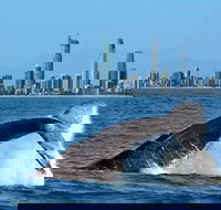 Gold Coast Airport to and from Byron Bay NSW for up-to 7 ppl