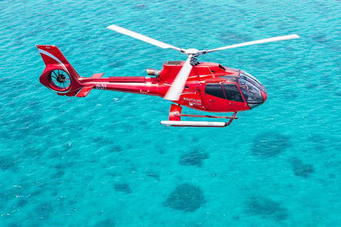 Helicopter And Cruise Packages From Port Douglas - Darwin Holiday 5