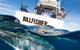 Full Day Fishing Charter Airlie Beach Whitsundays - thumb 2