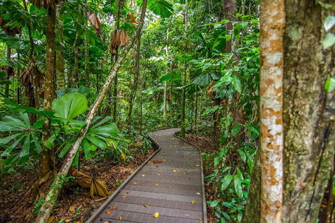 Daintree Afternoon Nocturnal Nature And Wildlife Tour - Darwin Holiday 9