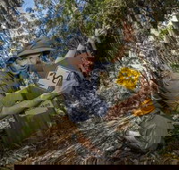 4-Day Australian Outback Tour from the Gold Coast to Sydney