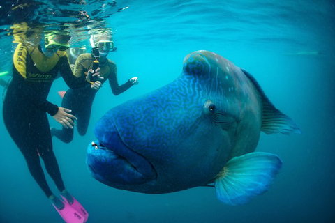 2Day 2Night Sail, Snorkel & SUP Adventure Whitsundays Double - Darwin Holiday 9