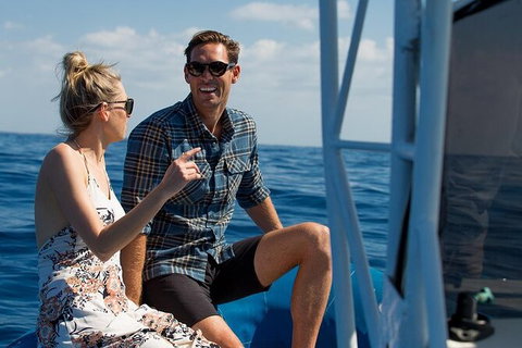 Private Tangalooma Wrecks Tour - Darwin Holiday 2