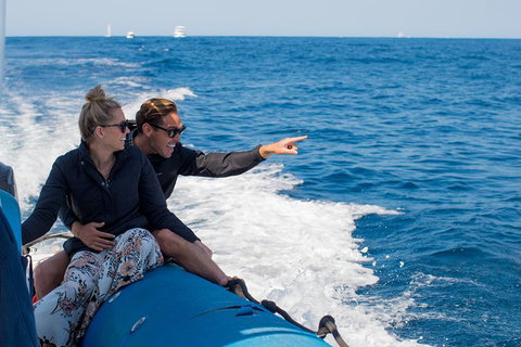 Private Tangalooma Wrecks Tour - Darwin Holiday 7