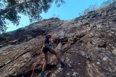 Noosa Hinterland Scenic FAT Bike & Abseil Tour - Darwin Holiday 7