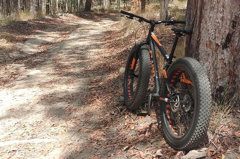 Noosa Hinterland Scenic FAT Bike & Abseil Tour - Darwin Holiday 1