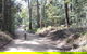 Noosa Hinterland Scenic FAT Bike & Abseil Tour - thumb 5
