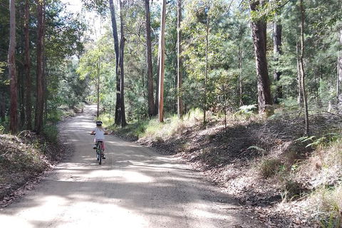Noosa Hinterland Scenic FAT Bike & Abseil Tour - Darwin Holiday 5
