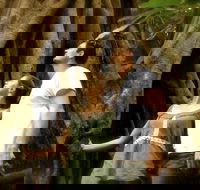 Daintree and Cape Tribulation Full Day Guided Tour - Darwin Holiday