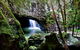 Natural Bridge, Springbrook & Gold Coast Tour - thumb 6