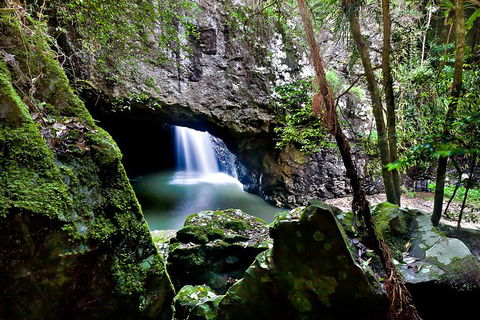 Natural Bridge, Springbrook & Gold Coast Tour - Darwin Holiday 6