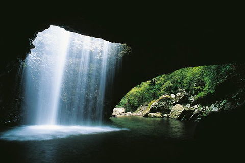 Natural Bridge, Springbrook & Gold Coast Tour - Darwin Holiday 0
