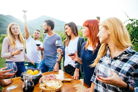 Mt Tamborine Winery Tour - Local Pickup - Darwin Holiday 4