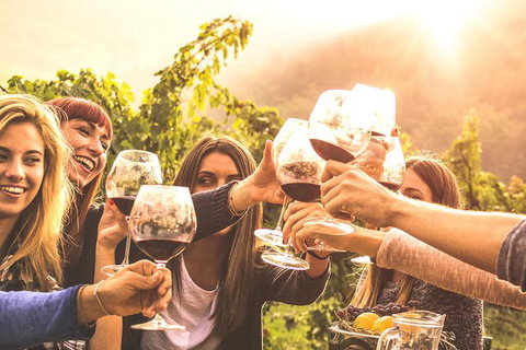 Mt Tamborine Winery Tour - Local Pickup - Darwin Holiday 0