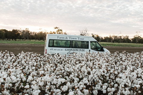 Discover Farming In Goondiwindi - Darwin Holiday 8