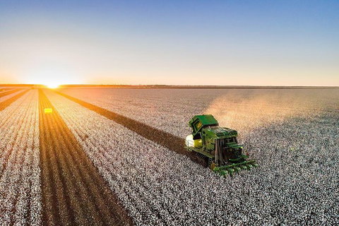 Discover Farming In Goondiwindi - Darwin Holiday 7