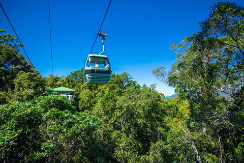 Kuranda Day Tour,TKS- Budget 930 - Darwin Holiday 4