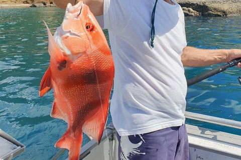 Adventure Fishing Combo Day - Fish, Swim, Whitehaven, Hill Inlet Bush Walking - Darwin Holiday 2