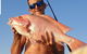 Adventure Fishing Combo Day - Fish, Swim, Whitehaven, Hill Inlet Bush Walking - thumb 4