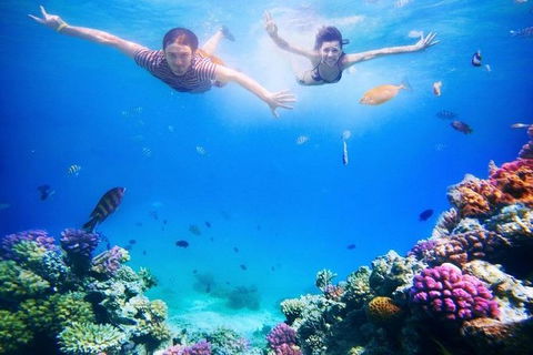 Adventure Fishing Combo Day - Fish, Swim, Whitehaven, Hill Inlet Bush Walking - Darwin Holiday 5