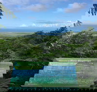 Daintree Luxury Limousine Tour - Full Day - Darwin Holiday