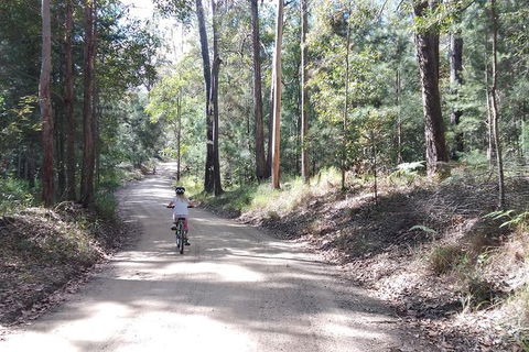 Noosa Hinterland Scenic Canoe & FAT Bike Tour - Darwin Holiday 4