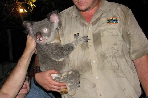 The Adventure Begins At Hartley\'s The Best Crocodile Show In Australia - Darwin Holiday 2