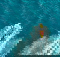 1 Hour Stunning Jet Ski Experience