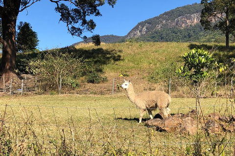 Waterfall Tour - Darwin Holiday 7