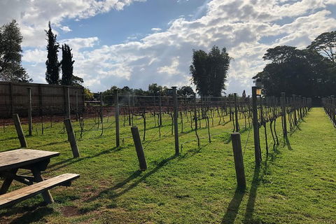 Waterfall Tour - Darwin Holiday 1