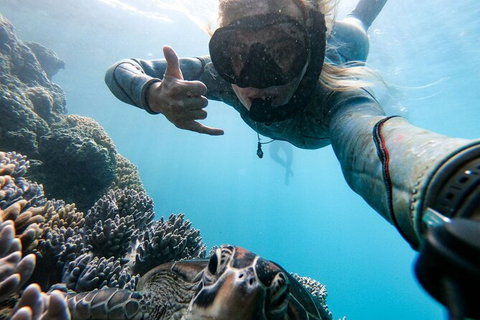 4 Day And 3 Night Whitsunday Maxi Sailing Adventure On Broomstick - Darwin Holiday 13