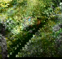 OReillys Rainforest Retreat and Winery Day Tour from Nerang