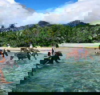 Afternoon Beach Horse Ride in Cape Tribulation - Darwin Holiday