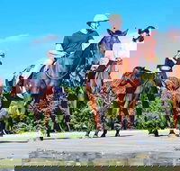 Mid-Morning Beach Horse Ride in Cape Tribulation with Pick Up - Darwin Holiday