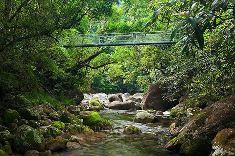 SHUTTLE - Mossman Gorge & Cooya Beach From Port Douglas (Return Transfer) - Darwin Holiday 4