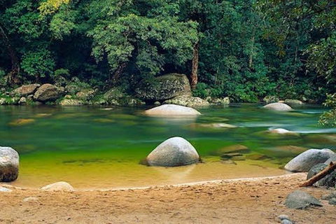 SHUTTLE - Mossman Gorge & Cooya Beach From Port Douglas (Return Transfer) - Darwin Holiday 1