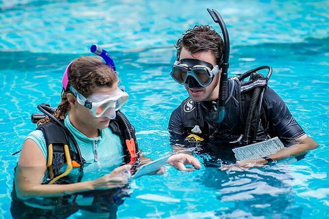 PADI Diving Courses On The Gold Coast - Darwin Holiday 0