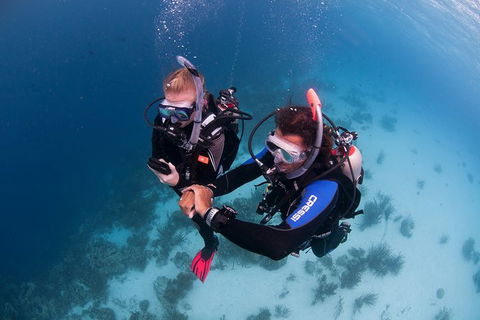 PADI Diving Courses On The Gold Coast - Darwin Holiday 5