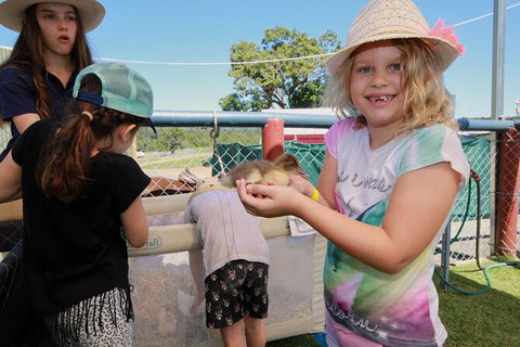 Horse And ATV Riding With A Visit To A Petting Zoo From Cairns - Darwin Holiday 2